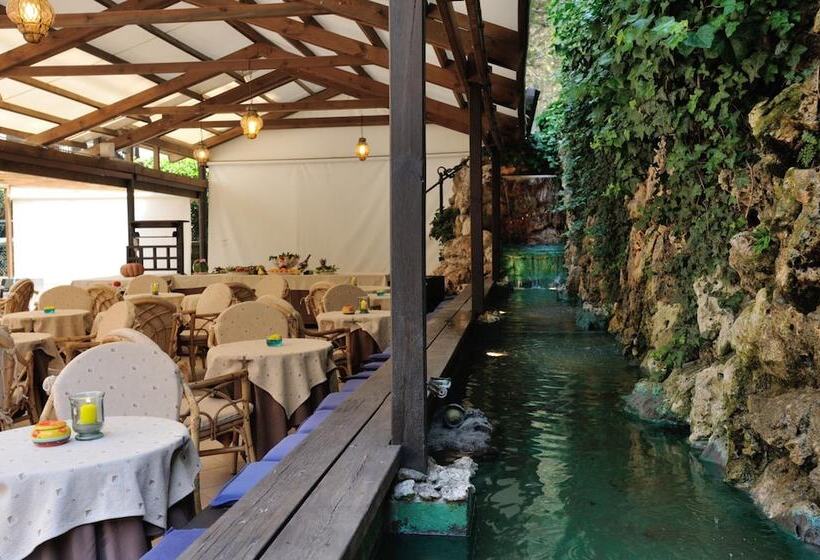 בית מלון כפרי Salus