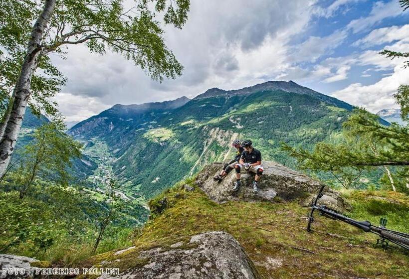 בית מלון כפרי Sassella