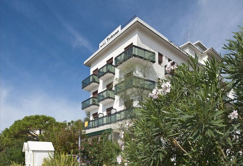 فندق Tritone