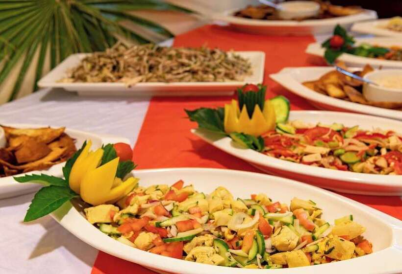 ホテル Viking Nona Beach