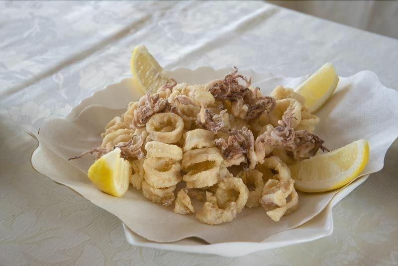 בית מלון כפרי Villa Elena