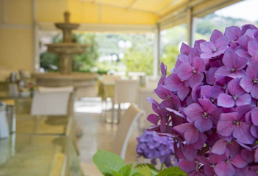 בית מלון כפרי Villa Elena