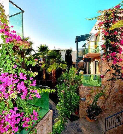 Jasmin Beach Hotel   All Inclusive