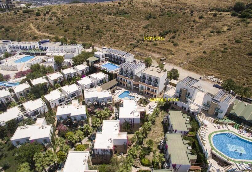 Jasmin Beach Hotel   All Inclusive