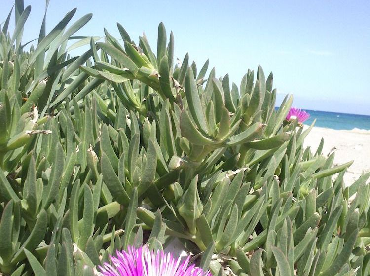 Mary Hotel & Mary Royal Suites