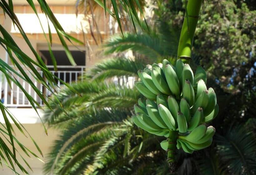 Residence Veles Plage