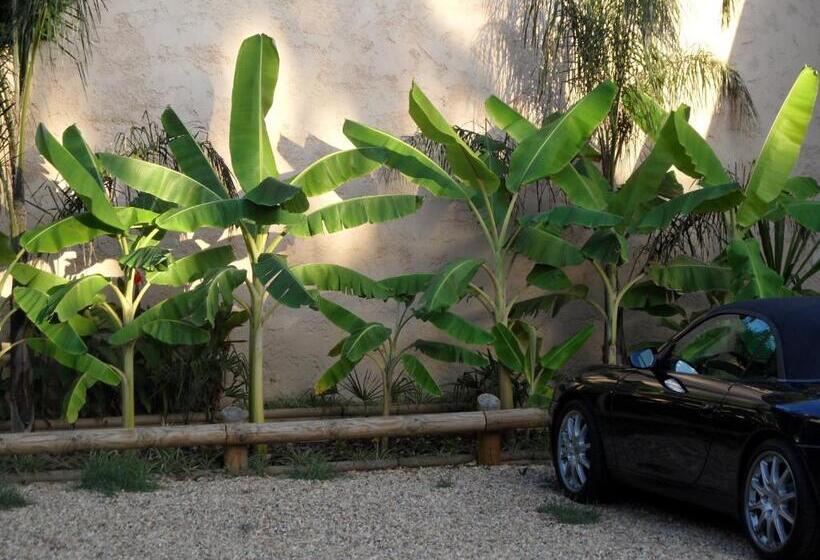 Residence Veles Plage