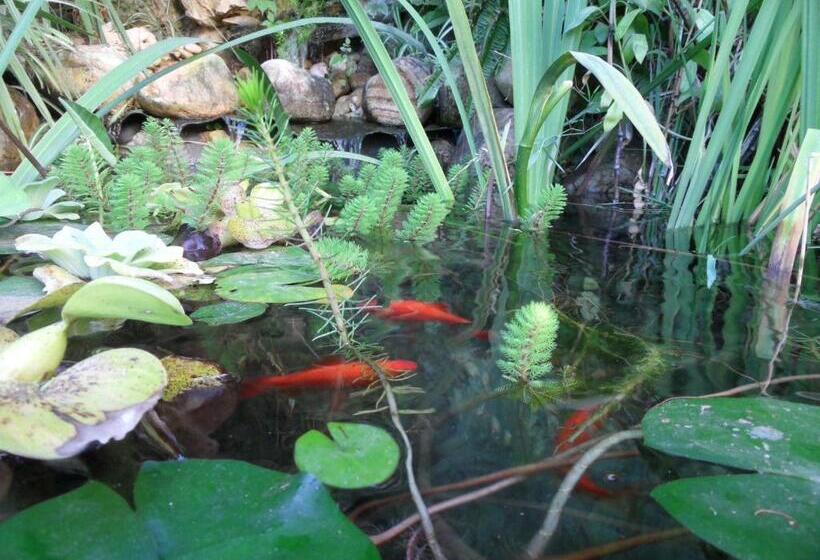 Residence Veles Plage