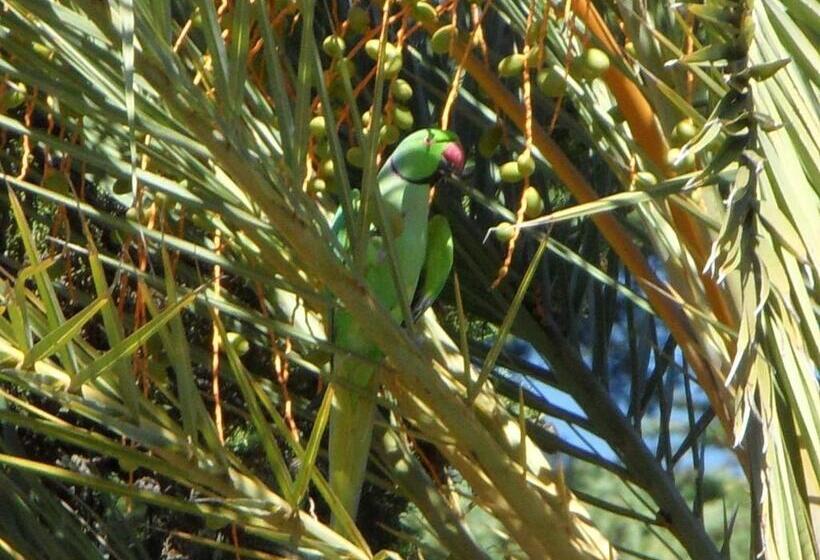 Residence Veles Plage