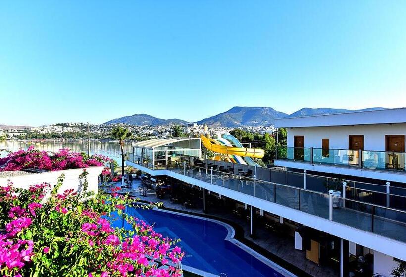 Tropicana Beach