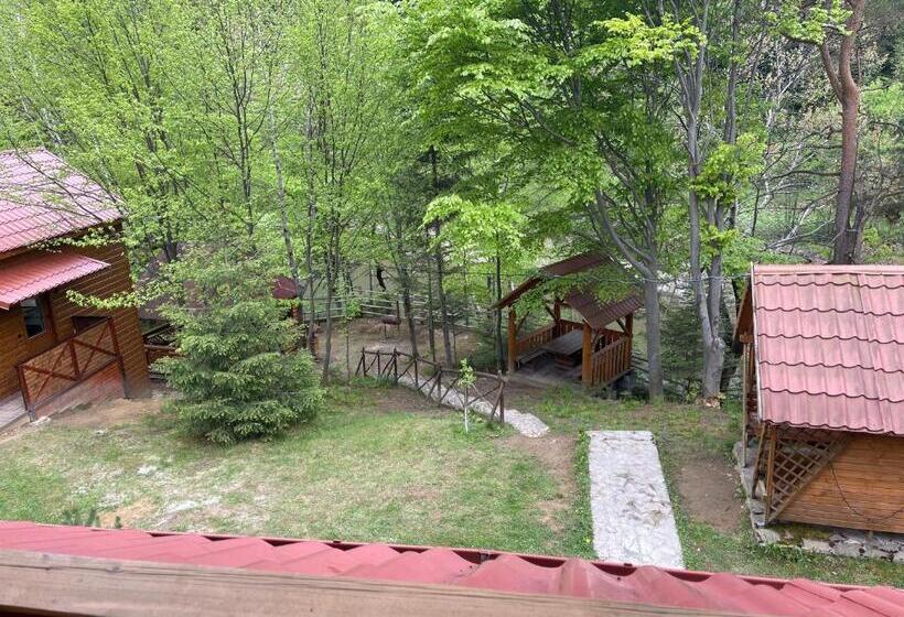 هتل Villa Затишна