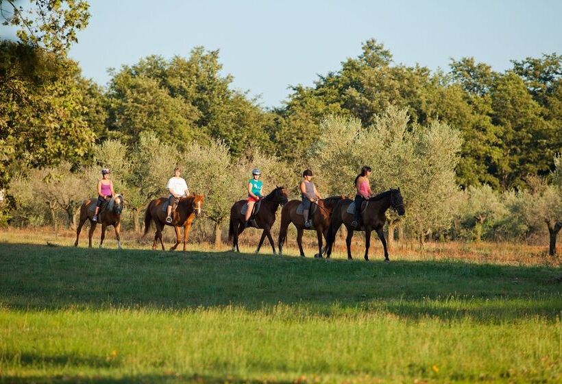 Apartments Astra Plava Laguna