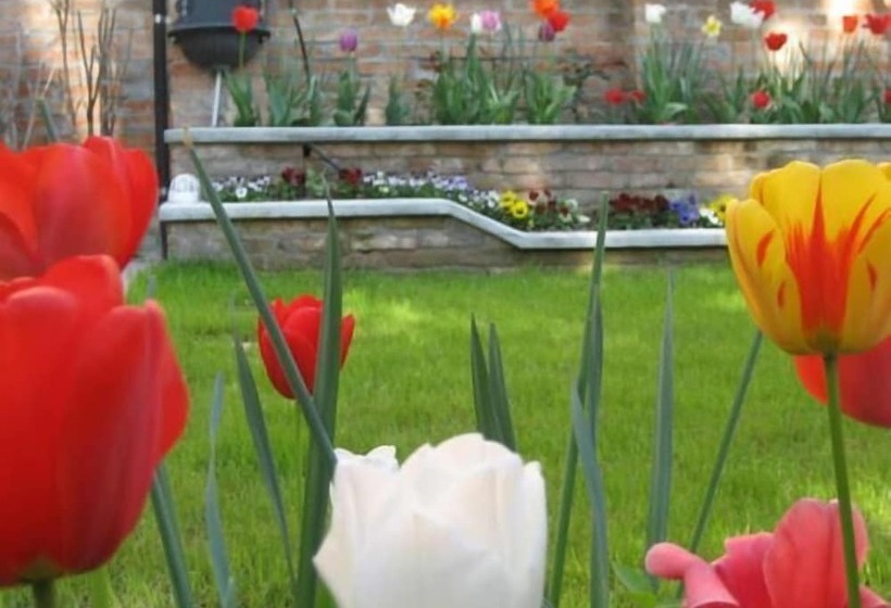 Bed And Breakfast Casa Delle Rose Lido Venezia
