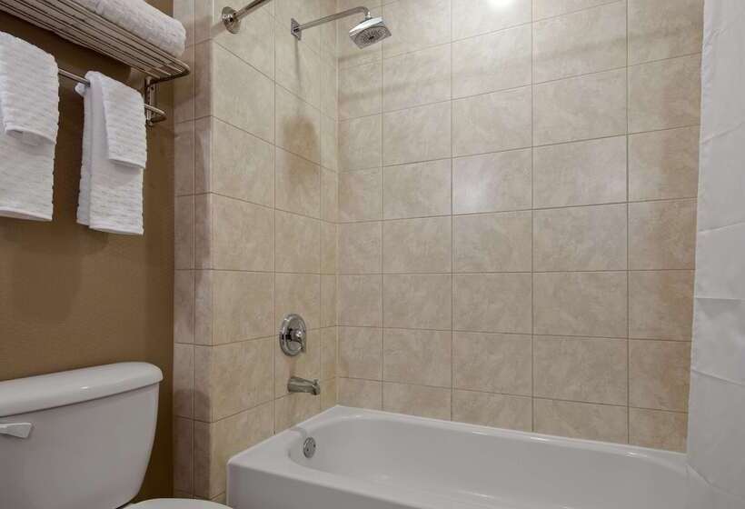 Best Western Plus Miami Intl Airport Hotel & Suites Coral Gables