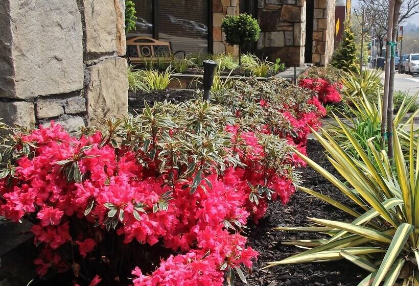 Отель Best Western Queens Gold Coast