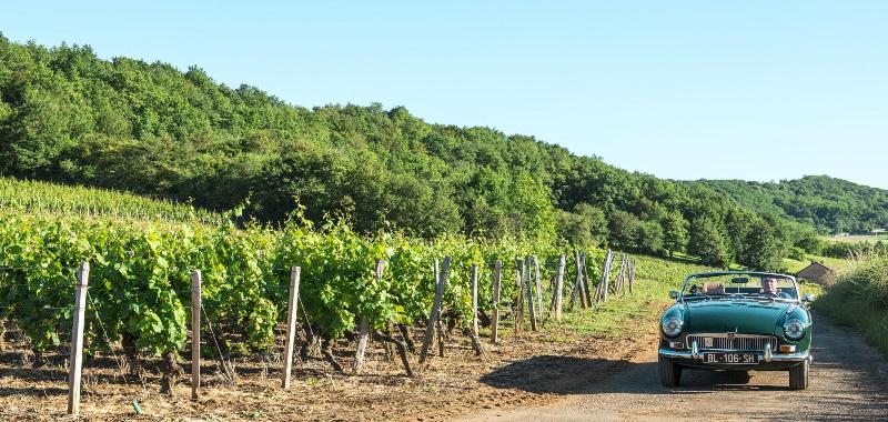 酒店 Frédéric Carrion Hôtel Et Spa