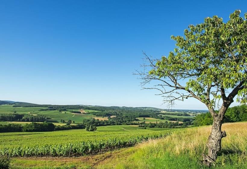 בית מלון כפרי Frédéric Carrion Hôtel Et Spa