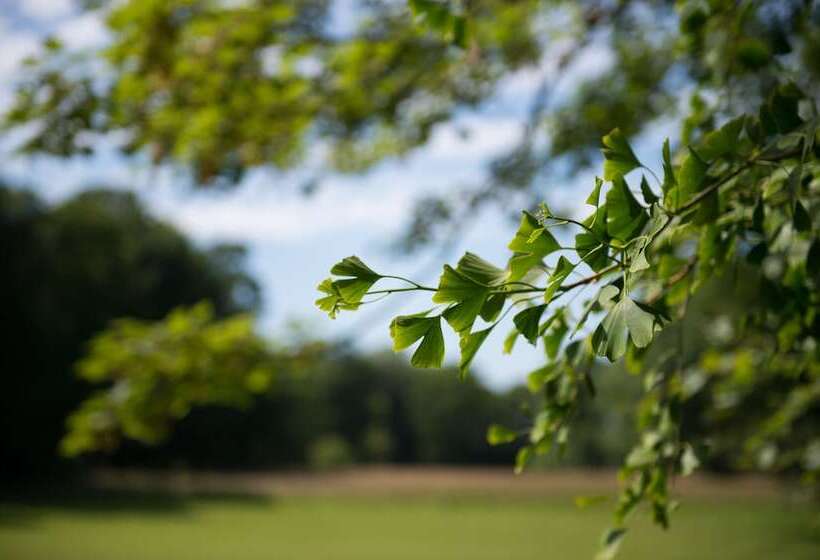Отель Chateau De Sissi