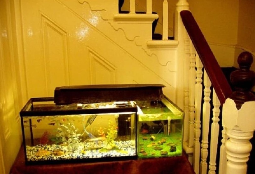 Отель Chiswick Court