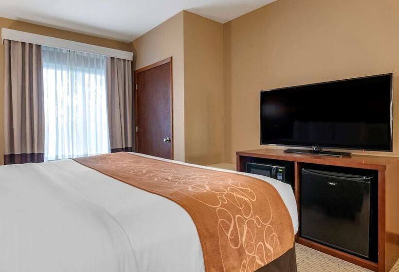 فندق Comfort Suites Orlando Airport