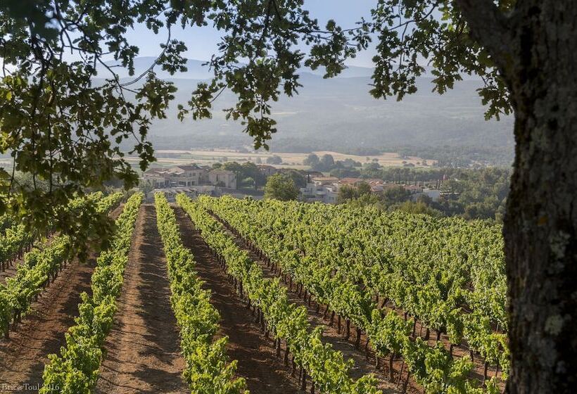 فندق Coquillade Provence