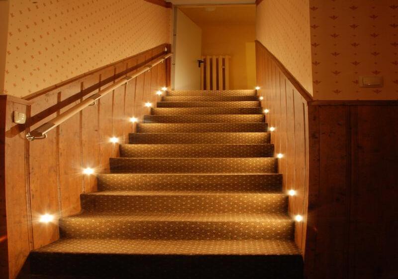 Отель Dom Casimi