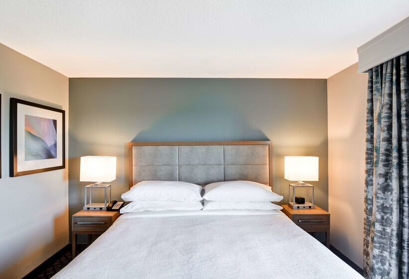 فندق Embassy Suites By Hilton Orlando Downtown