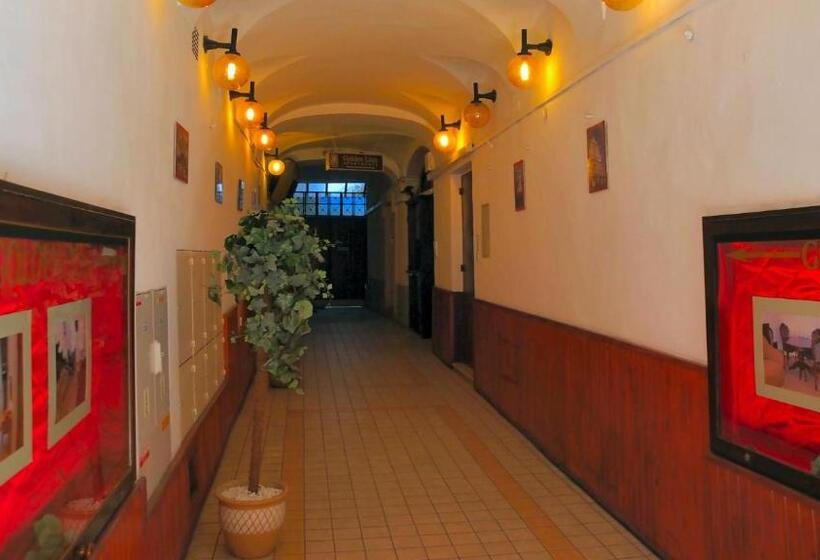 酒店 Golden Lion Guest Rooms Szewska 19