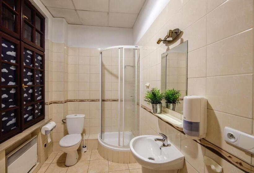 酒店 Golden Lion Guest Rooms Szewska 19