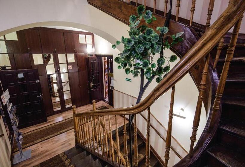 酒店 Golden Lion Guest Rooms Szewska 19