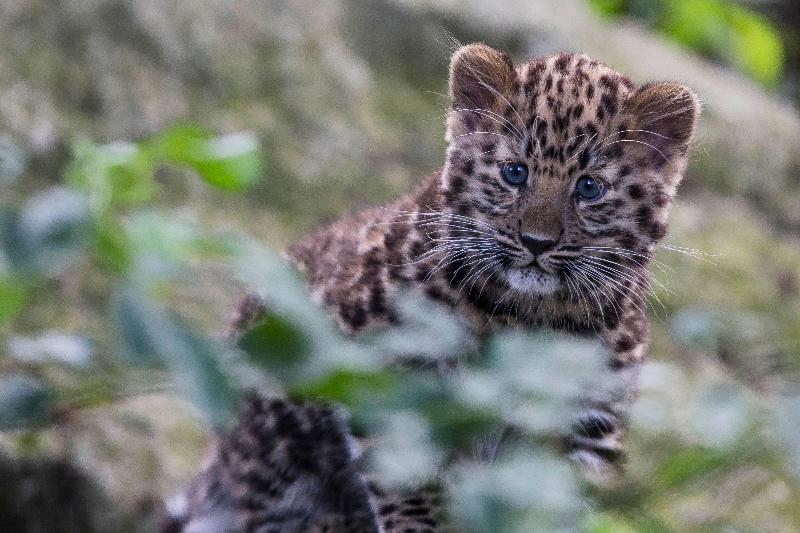 Voco Winchester Hotel & Spa, An Ihg Hotel