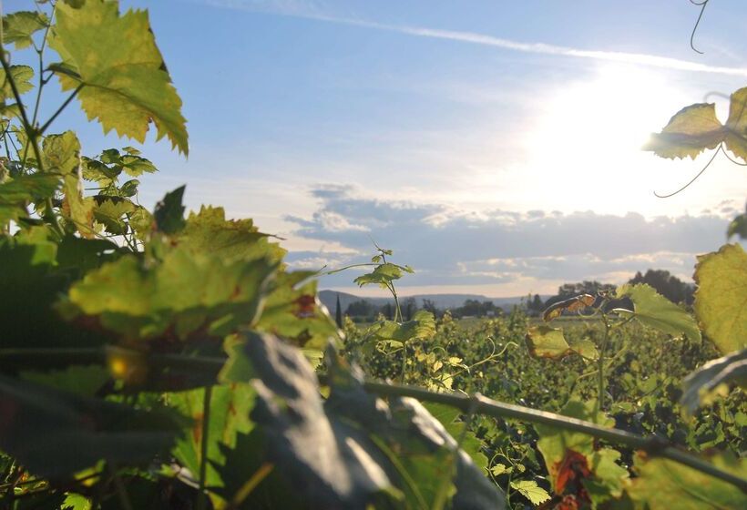 ホテル Clos St Eloi, The Originals Relais