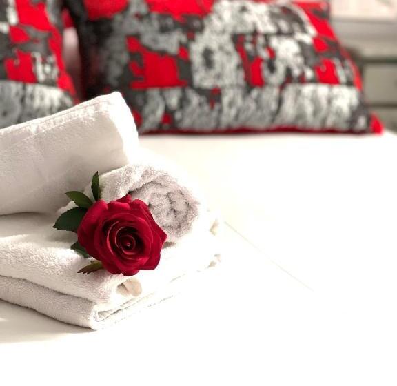 酒店 Le Romanesque