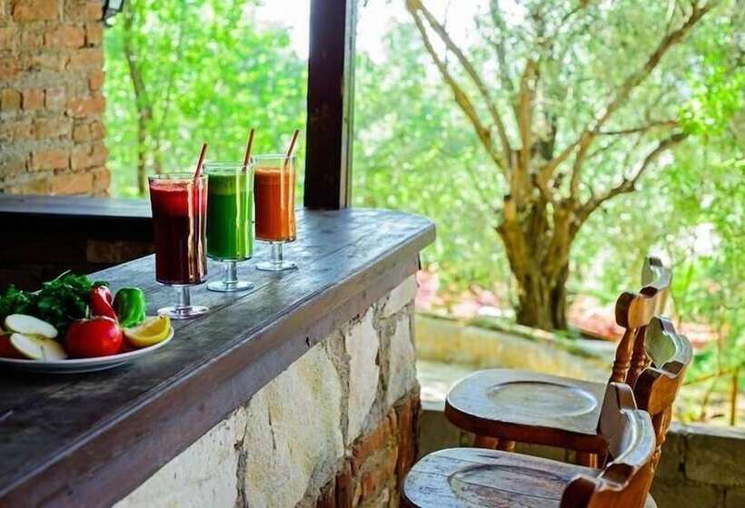 호텔 Natur Med Hot Springs And Health Resort