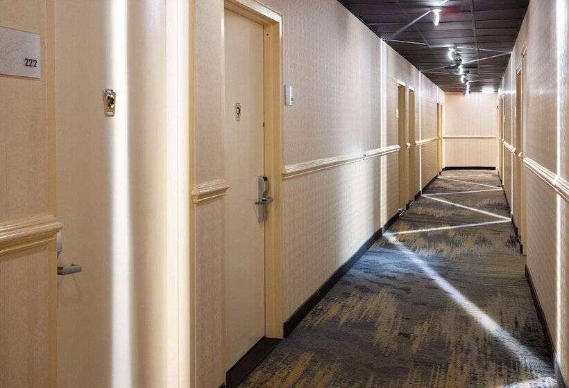 ホテル Ramada By Wyndham Bronx