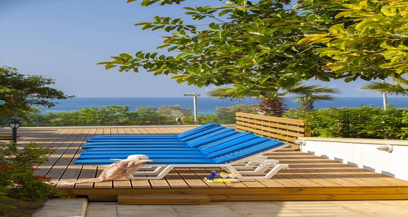 فندق Sanders Florida