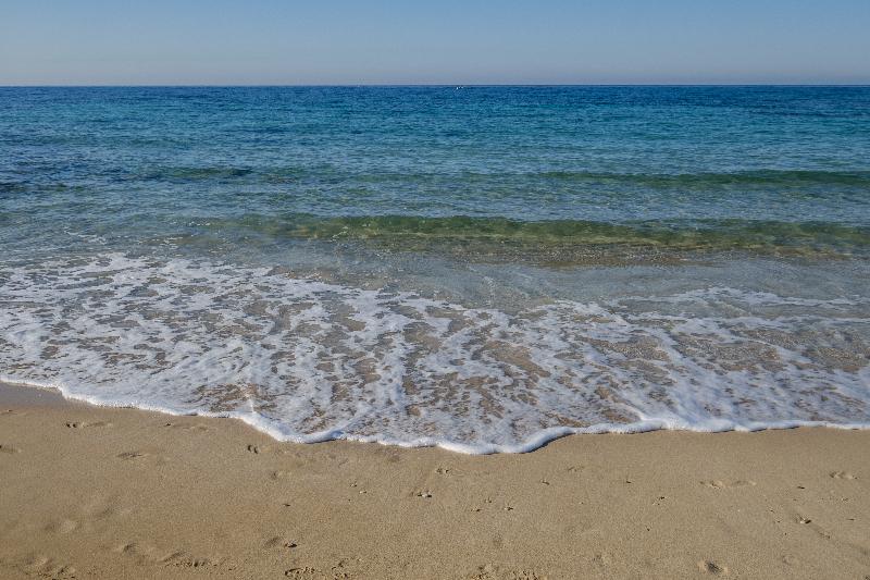 فندق Sanders Florida