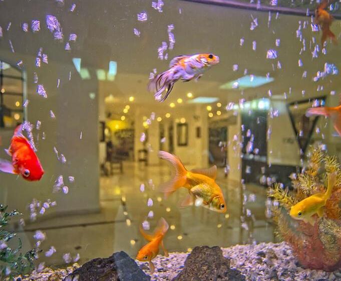 בית מלון כפרי Sinatra   All Inclusive