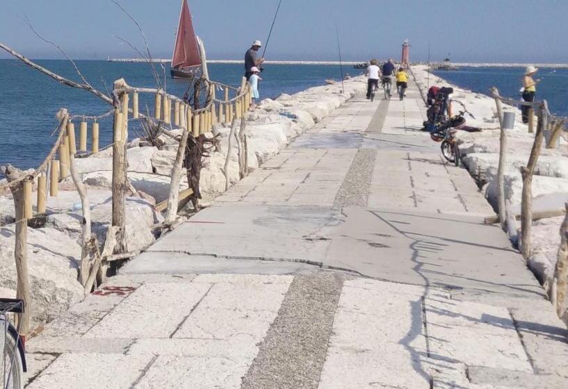 Отель Villa Delle Palme