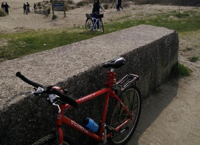 Отель Villa Delle Palme