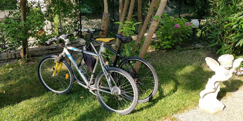 Отель Villa Delle Palme