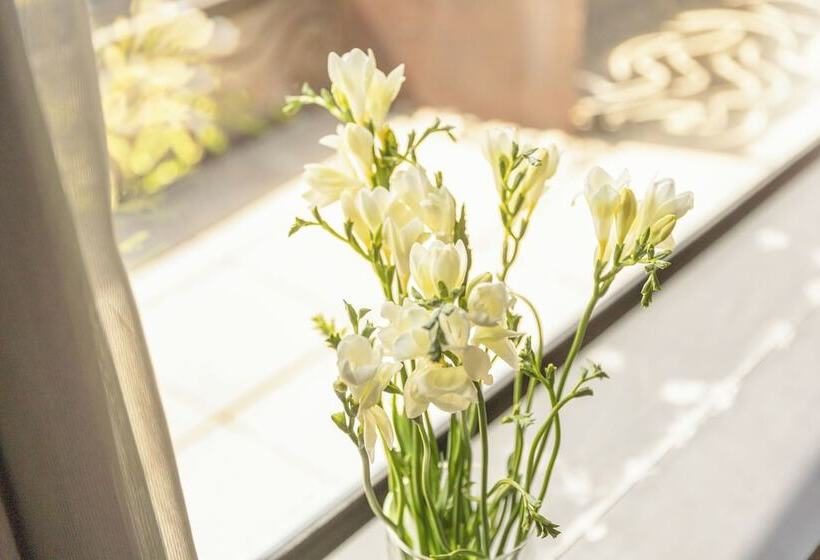 בית מלון כפרי Viura