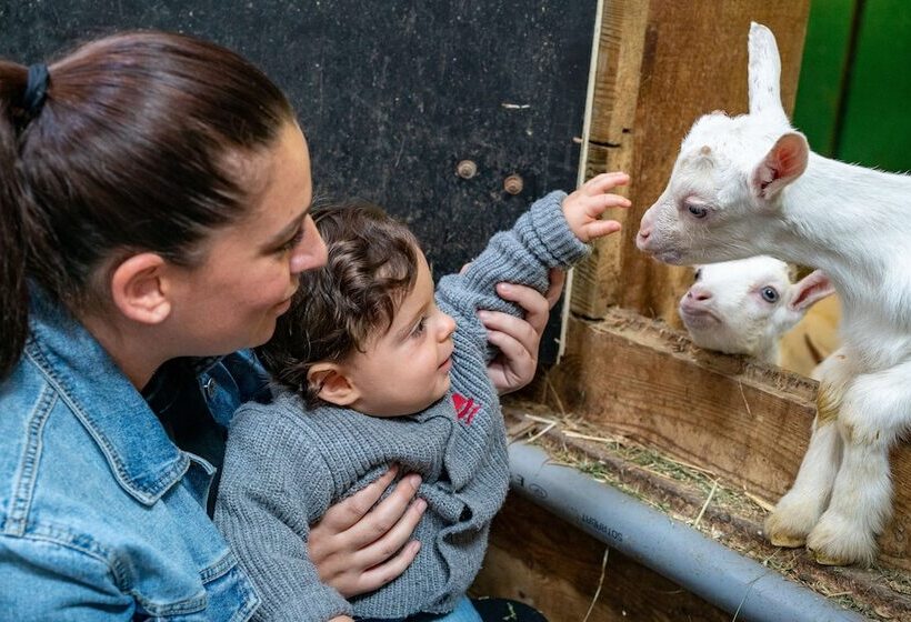 فندق Vvf Bleriotplage