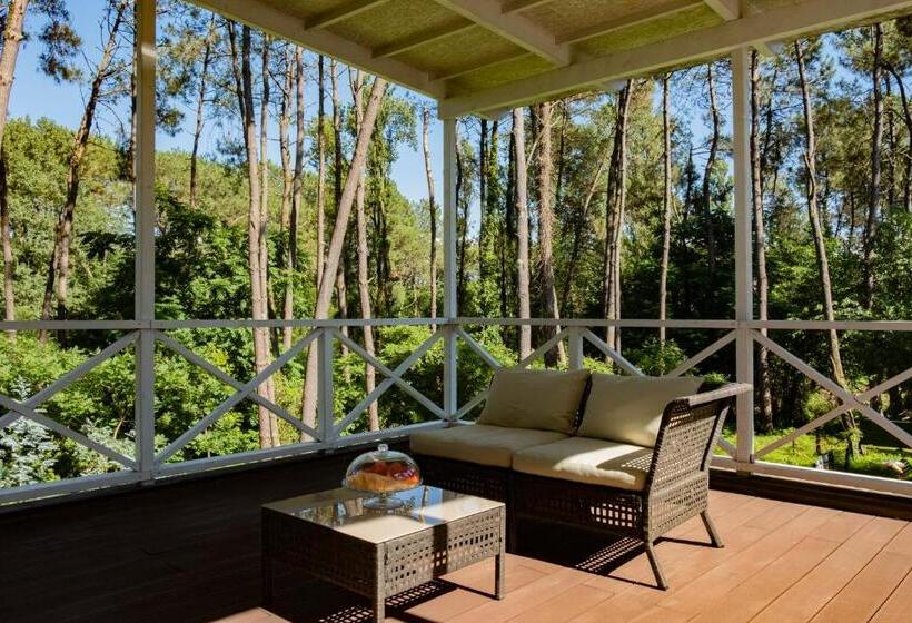 Buxus Hotel Shekvetili