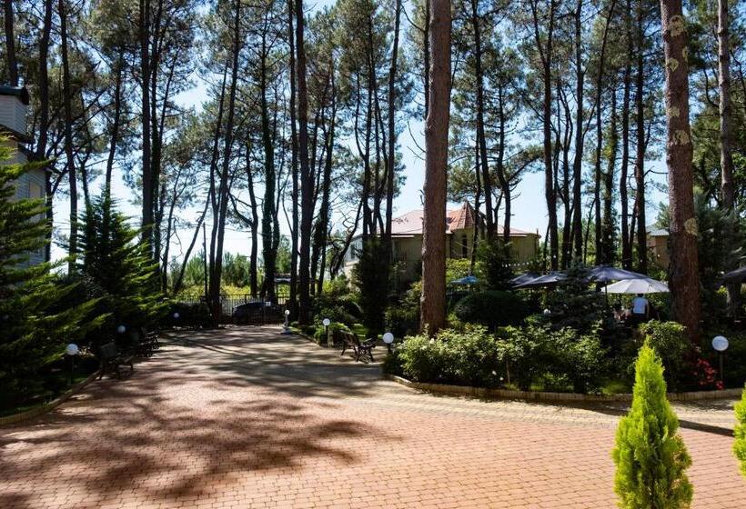 Buxus Hotel Shekvetili