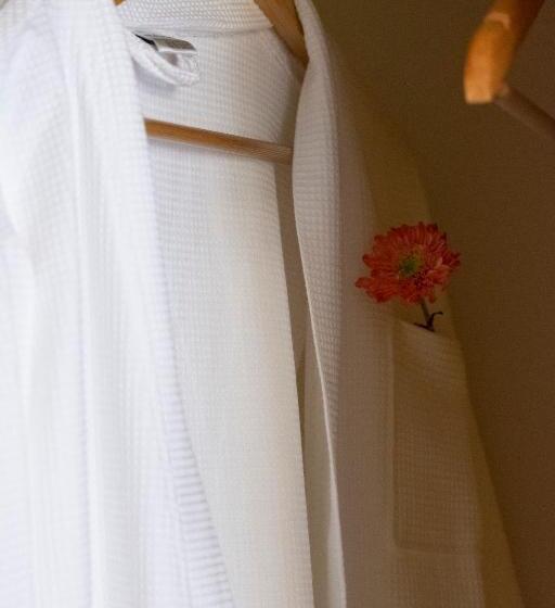 Buxus Hotel Shekvetili