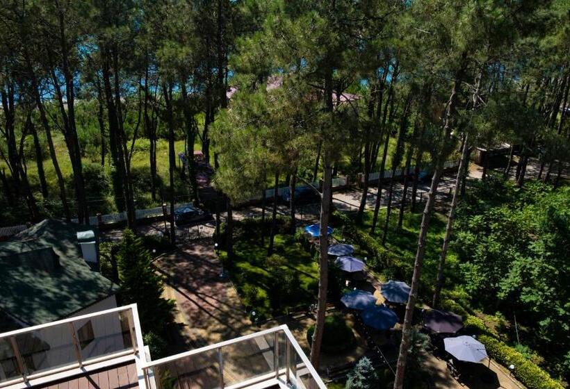 Buxus Hotel Shekvetili