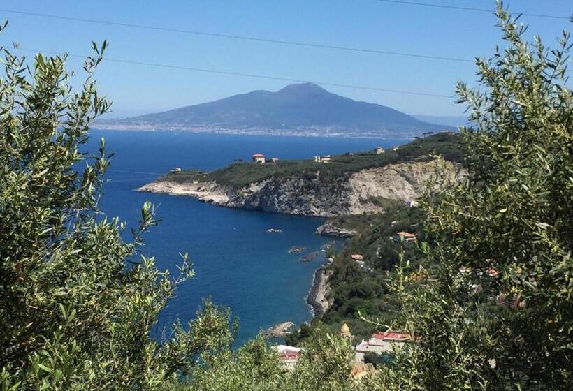 צימר De Maria House