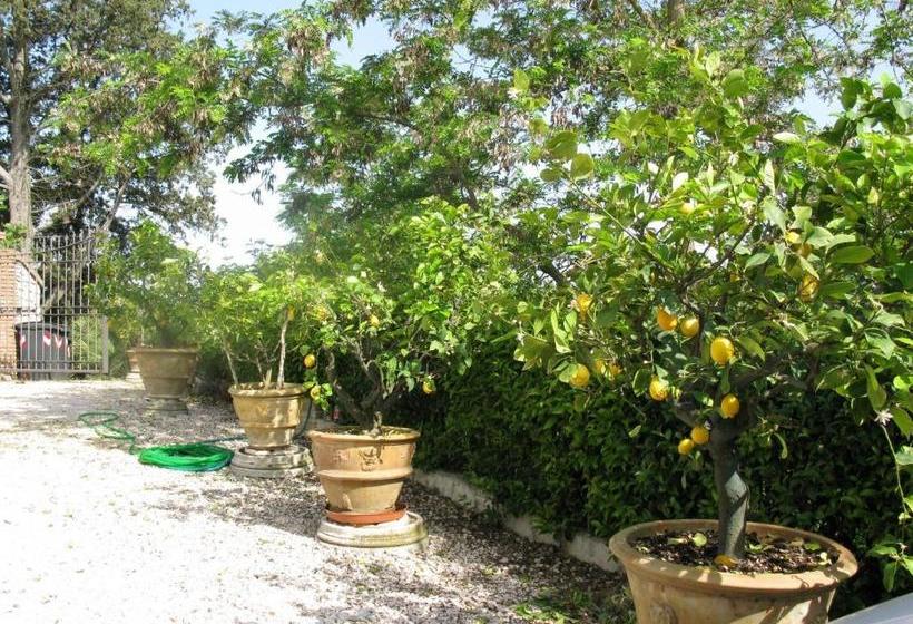 בית מלון כפרי Agriturismo Vocabolo Palazzo