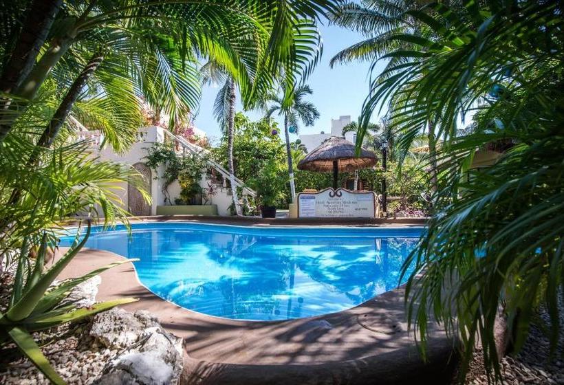 호텔 Aventura Mexicana